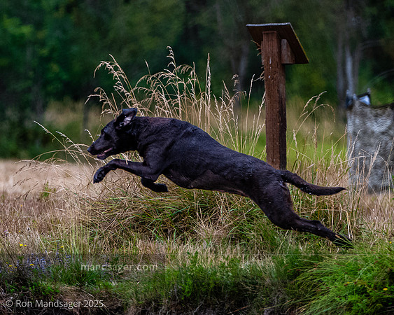 Master HUnt Test GPNWRC 250720 _OZ83048