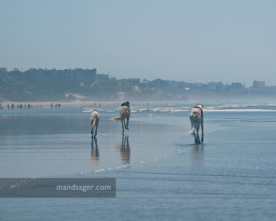 20090728_REM9907