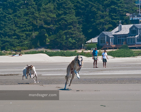 20090728_REM9597