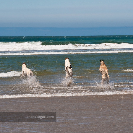 20090719_REM8523