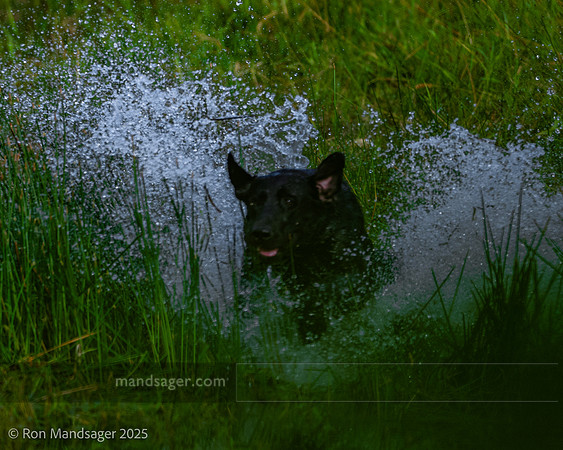 Master HUnt Test GPNWRC 250720 _OZ82658