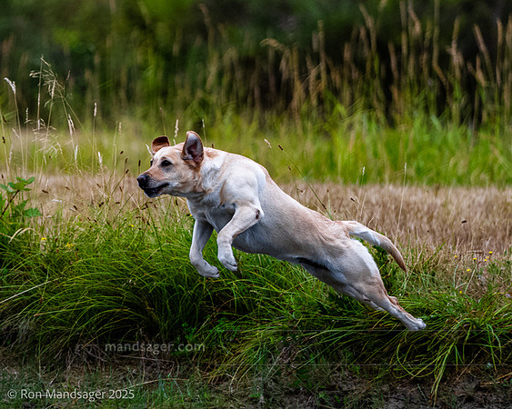 Master HUnt Test GPNWRC 250720 _OZ83266