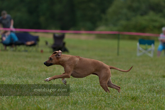 20110813_DSC8300