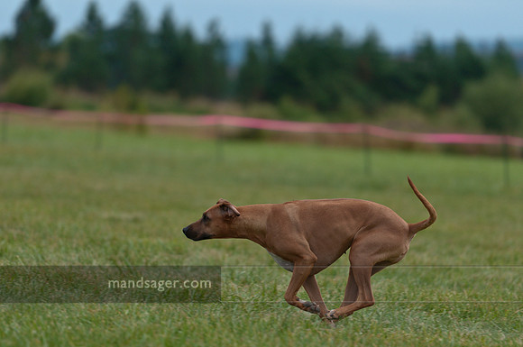 20110813_DSC8302