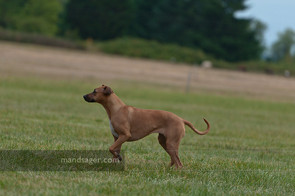 20110813_DSC8304