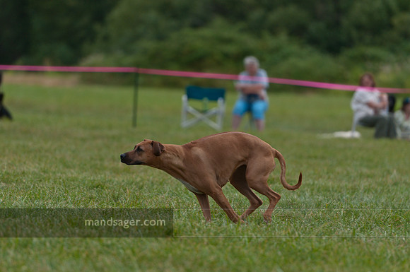 20110813_DSC8299