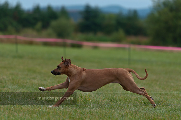20110813_DSC8301