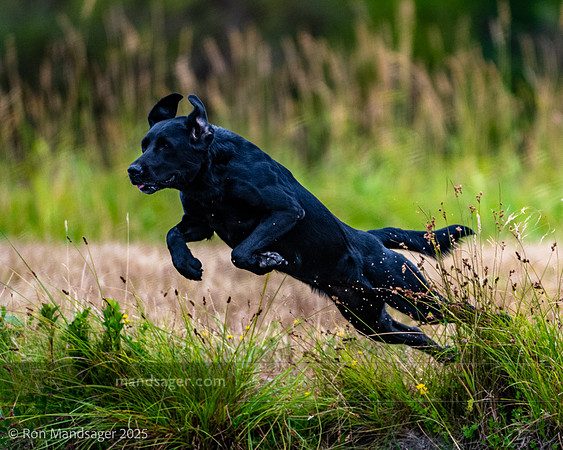 Master HUnt Test GPNWRC 250720 _OZ82928