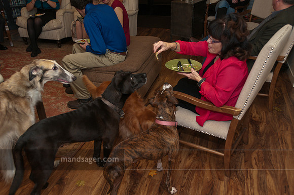 20131121_REM2905